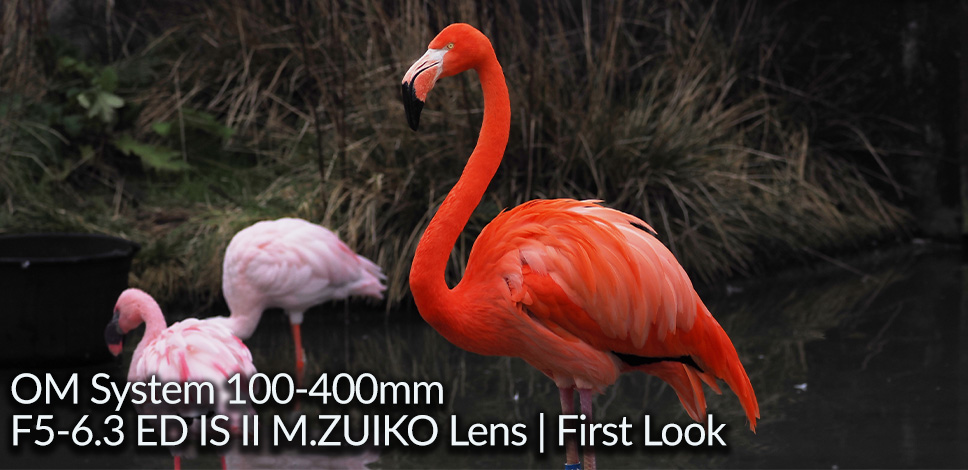 OM System 100-400mm F5-6.3 ED IS II M.ZUIKO Lens | First Look