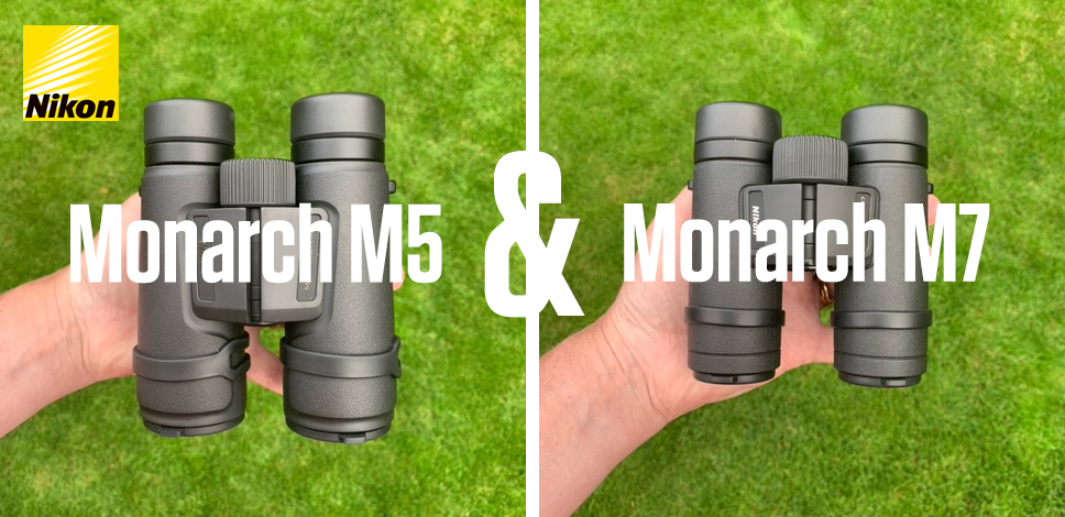 Nikon Monarch M5 & M7 Binocular Review