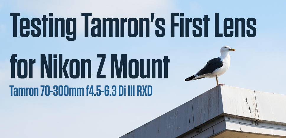 Tamron 70-300mm F/4.5-6.3 Di III RXD Lens for Sony Mirrorless Full  Frame/APS-C E-Mount, Black (Renewed) : Electronics 