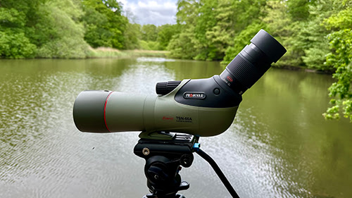 Side profile by lake