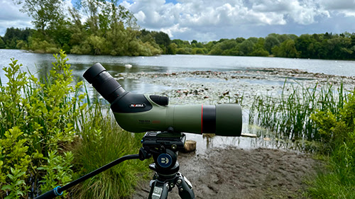 Side profile by lake