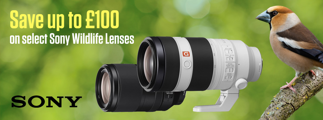 Save up to £100 on select Sony Wildlife Lenses