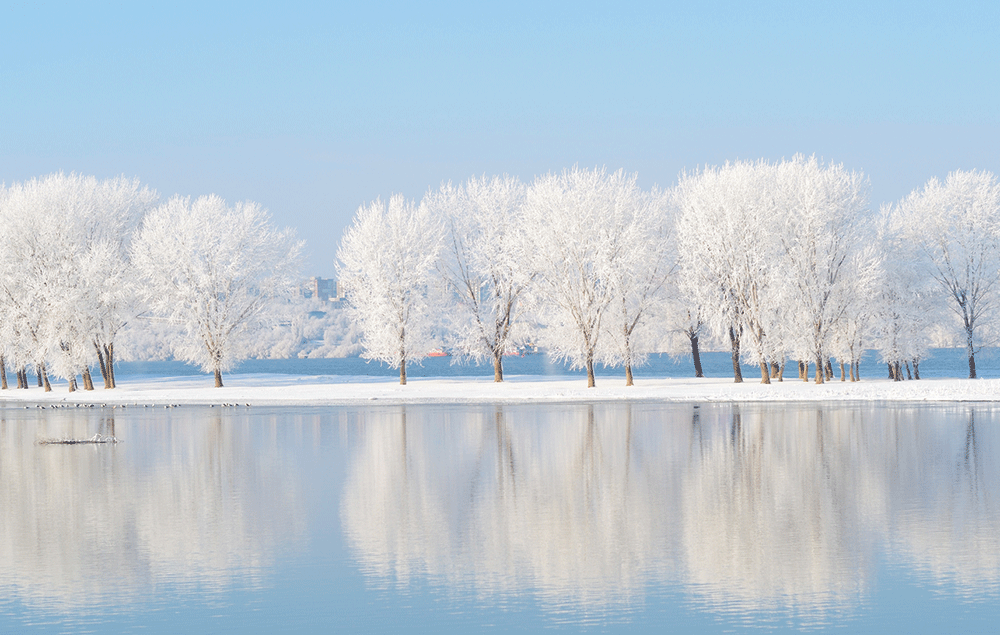 5 tips for photographing frost and snow in 2019