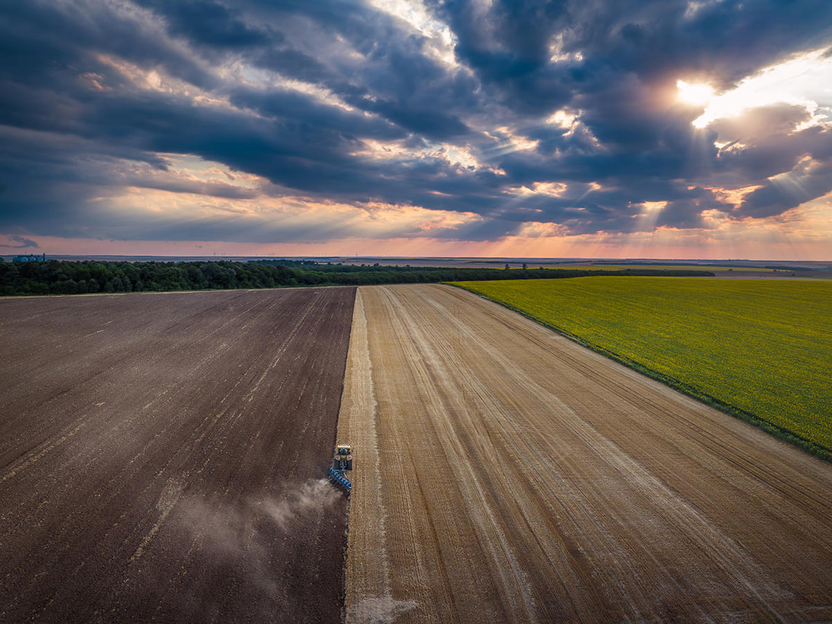 The Beginner's Guide to Drone Photography