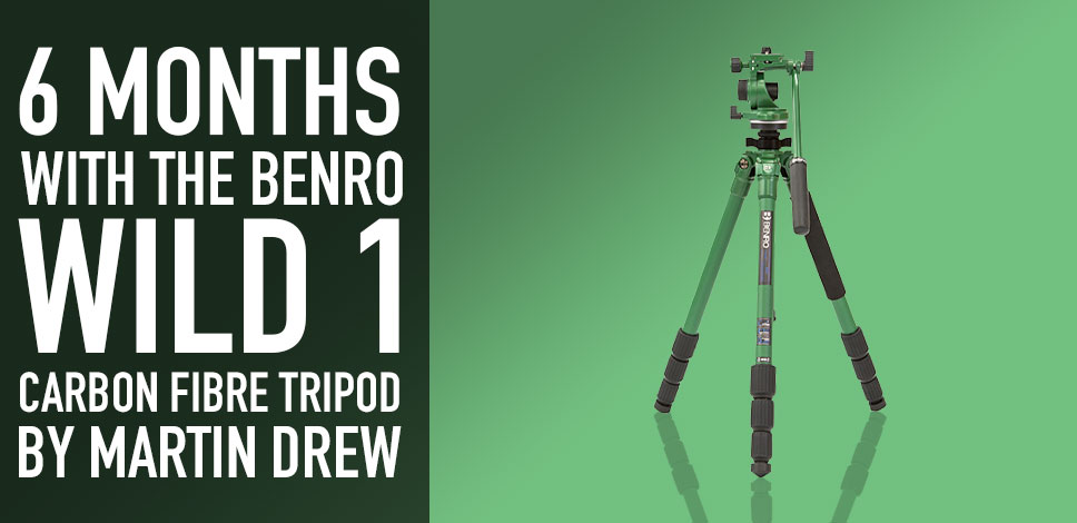 The Benro Wild 1 Carbon Fibre Birding Tripod Kit | Six Months Down The Line