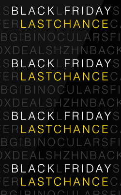 Black Friday Last Chance