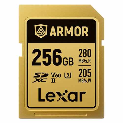 Lexar SDXC Pro Gold Series ARMOR UHS-II V60 IP68 Stainless Steel - 256GB